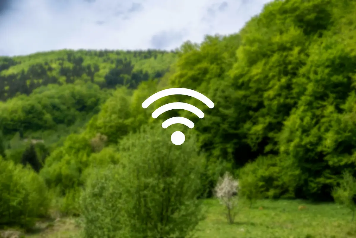 Wi-Fi gratuit Pensiunea Octavia